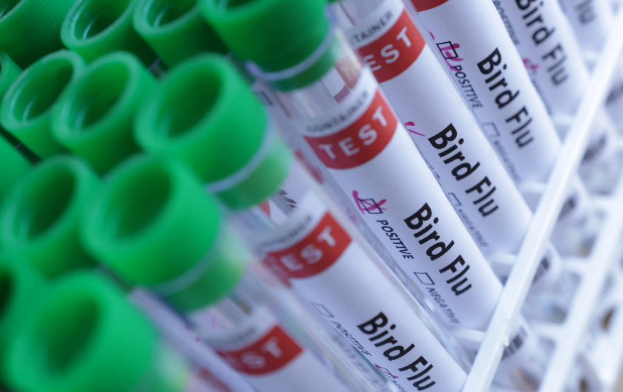 Oregon Identifies 3 Human Cases of Bird Flu in Farm Workers From Washington State