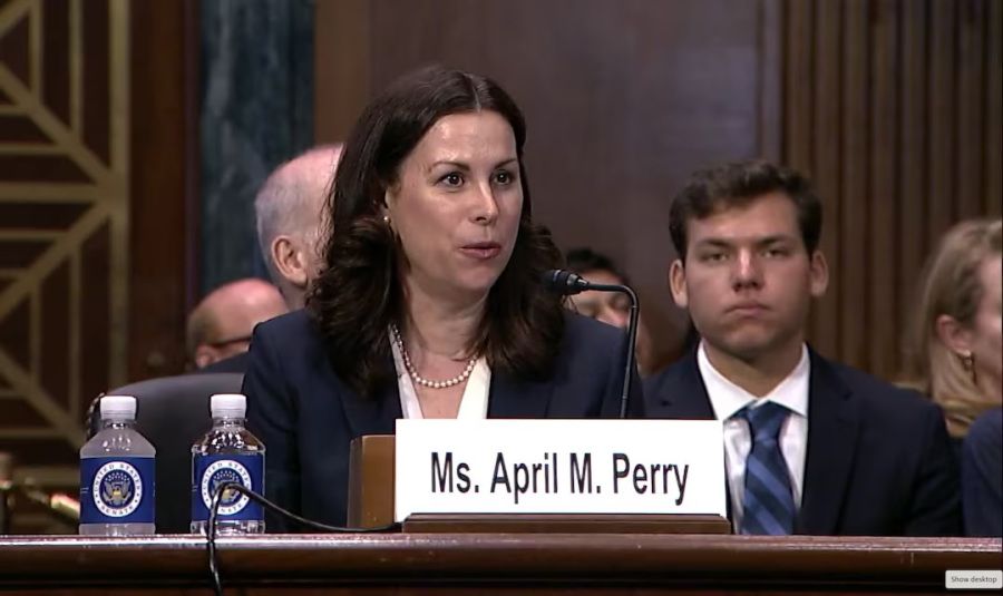 US Senate Democrats rush to confirm judges before Trump takes office