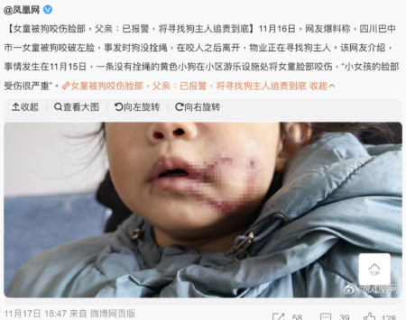 Mass Poisoning of Pet Dogs in Guangzhou Sparks Controversy