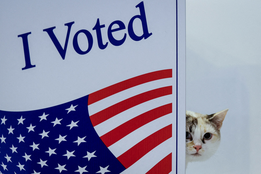 Behind the Curtains: Scenes From the US Election