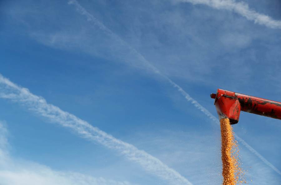 US Renewable Fuel Credits Rally to Multi-month Highs Despite Trump Reelection