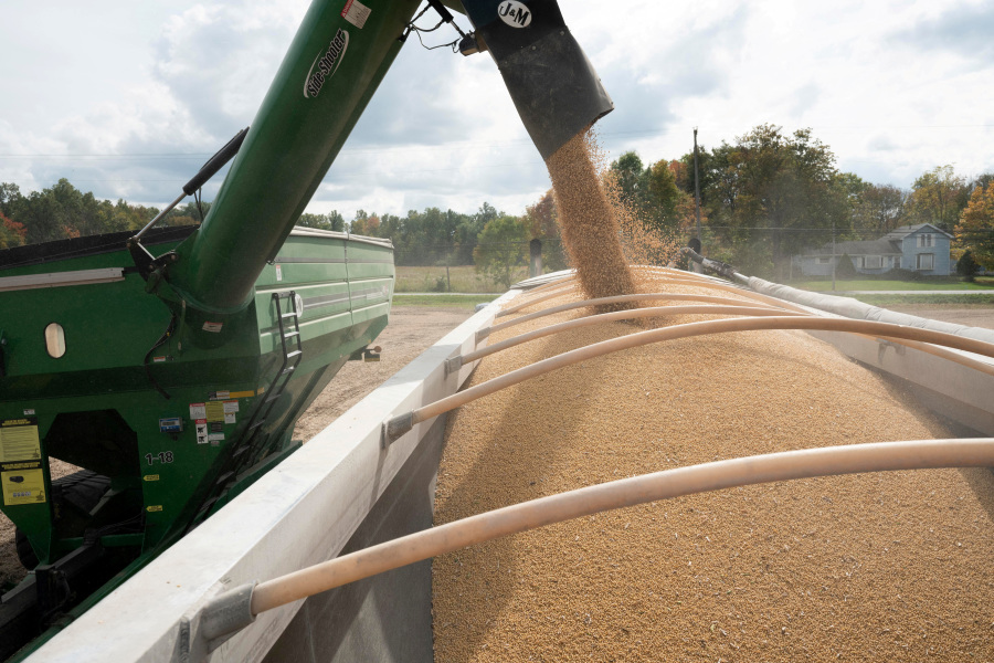 China buys US soybean cargoes ahead of Trump-Xi meet, sources say