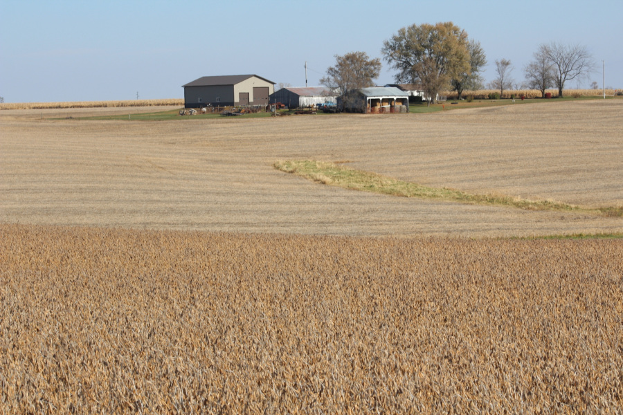 China to buy 12 million metric tons of soybeans this season, Bessent says