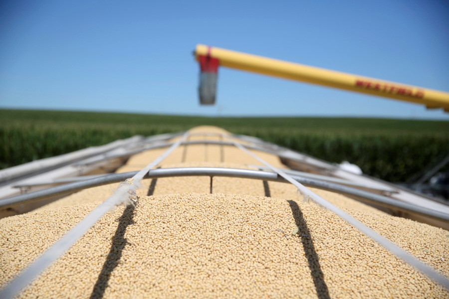 China buys at least 10 US soybean cargoes in new deals, sources say