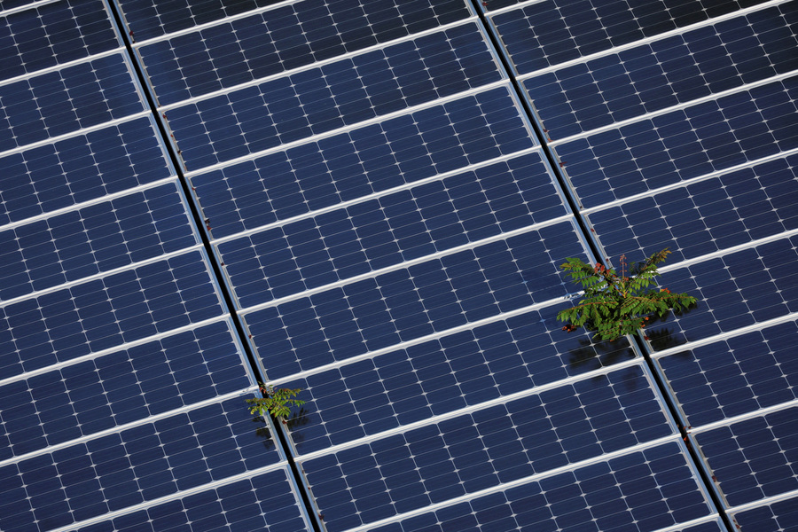 US judge blocks Trump administration actions stymieing wind, solar projects