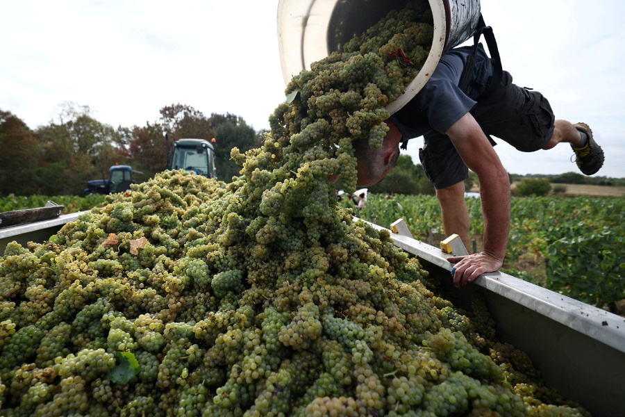 French wine exporters say Trump s latest tariff threat is bad news