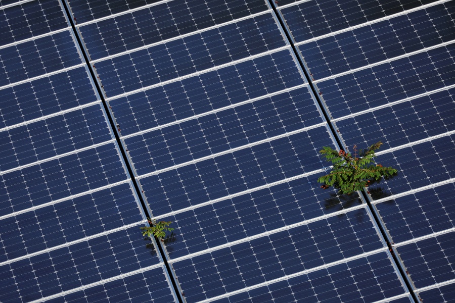 US lawmakers seek a crackdown on solar imports they say dodge duties