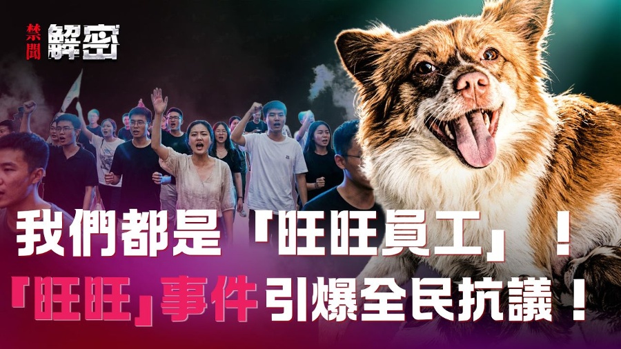 The Death of a Dog Caused by a 12-Year-Old in Jieyang Highlights the CCP s Distortion of Human Nature